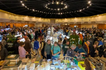 Sonstiges kaufen und verkaufen Foto: ZIVA EXOTIKA ins Top Hotel Prag / Tschechische Republik 17.1.2026