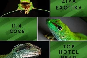 Sonstiges kaufen und verkaufen Foto: ZIVA EXOTIKA ins Top Hotel Prag / Tschechische Republik 11.4.2026