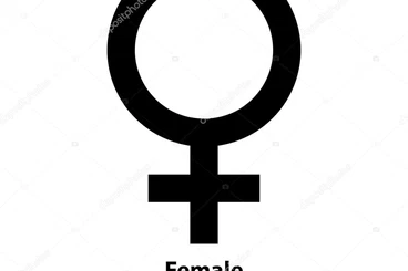 Pythons kaufen und verkaufen Foto: Suche morelia viridis 0.1 Baumpython