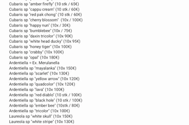 Insekten kaufen und verkaufen Foto: For Hamm! Cheap Isopoda, Mantis and more!