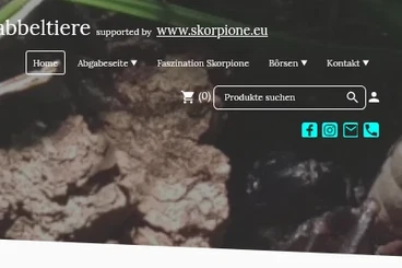 Spiders and Scorpions kaufen und verkaufen Photo: Übergabe / Abholung Skorpione