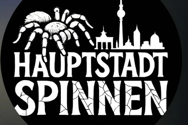 Spiders and Scorpions kaufen und verkaufen Photo: For Berlin 1.2.