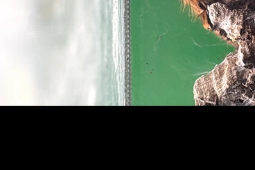 Spiders and Scorpions kaufen und verkaufen Photo: Verschiedene Vogelspinnen für Hamm