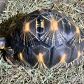 Bild 3/6