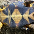 Bild 4/6