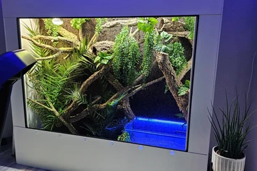 Terrarien kaufen und verkaufen Foto: -20% auf alle Kunststoff Terrarium und Terrarien Racks