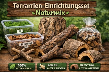 Insects kaufen und verkaufen Photo: Terrarium Einrichtungs Set