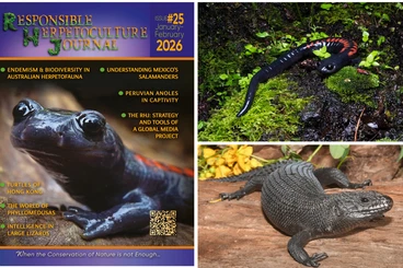 Books & Magazines kaufen und verkaufen Photo: The Responsible Herpetoculture Journal (RHJ)