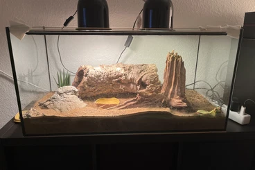 Supplies kaufen und verkaufen Photo: Terrarium und Terrarium konvult