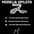 Bild 7/7