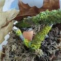 Bild 3/3