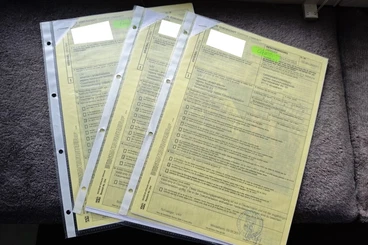 Tortoises kaufen und verkaufen Photo: griechische Landschildkröten Weiblich Eierlegend