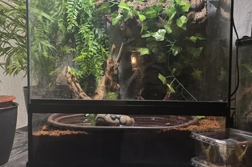 Terrarien kaufen und verkaufen Foto: Terrarium Exoterra 60×45×45: