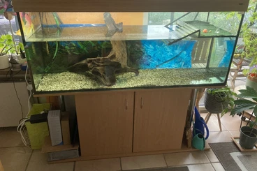 Aquarien kaufen und verkaufen Foto: Aquarium/Terrarium mit Trockenplattform