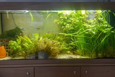 tanks kaufen und verkaufen Photo: Juwel Rio 450 mit viel Zubehör und Unterschrank