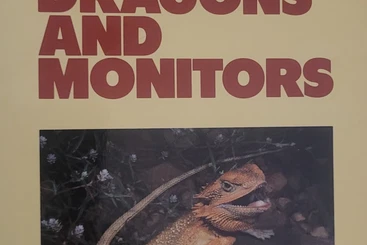 Monitor lizards kaufen und verkaufen Photo: Liards of Western Australia 2, Dragons and Monitors