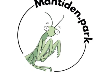 Insects kaufen und verkaufen Photo: Mantiden für Ulm 11.04.2026