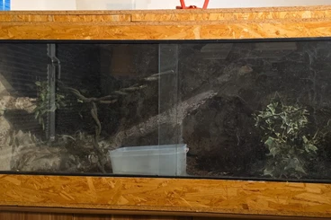 Terrarien kaufen und verkaufen Foto: Terrarium mit sämtlicher Technik