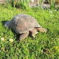 Bild 9/10