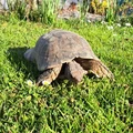 Bild 7/10
