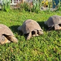 Bild 6/10