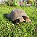 Bild 8/10