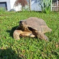 Bild 5/10
