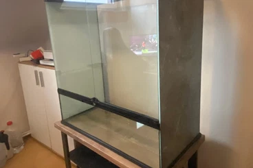 Terrarien kaufen und verkaufen Foto: Terrarium mit Monsoonanlage und Tisch