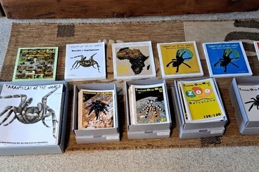 Literatur kaufen und verkaufen Foto: Suche Vogelspinnen Literatur