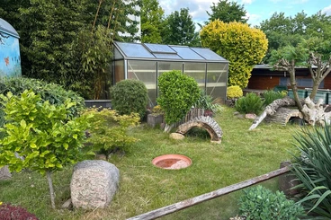 Tortoises kaufen und verkaufen Photo: **Männchen**Geochelone - Carbonaria**Köhlerschildkröte**1.0