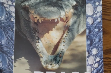 Literatur kaufen und verkaufen Foto: Verschiedene ältere Reptilias