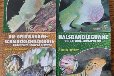 Literatur kaufen und verkaufen Foto: Rotkehlanolis, Wasseragame......