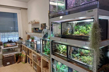 Supplies kaufen und verkaufen Photo: Terrarien, Zubehör, Technik, Pflanzen, Futtertiere