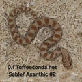 Bild 5/12