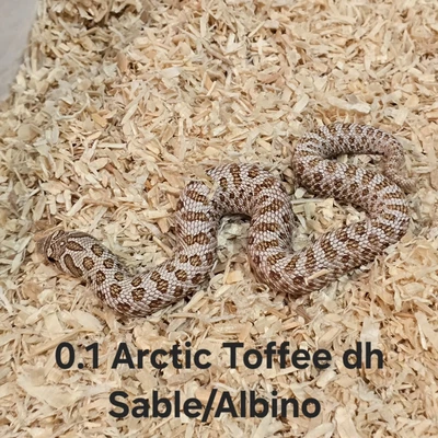 Bild 1/12