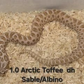 Bild 9/12