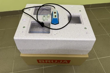 Supplies kaufen und verkaufen Photo: Inkubatoren Grumbach und Bruja