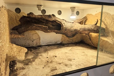 Supplies kaufen und verkaufen Photo: Zu verkaufen 4er Block Kunstoffterrarien