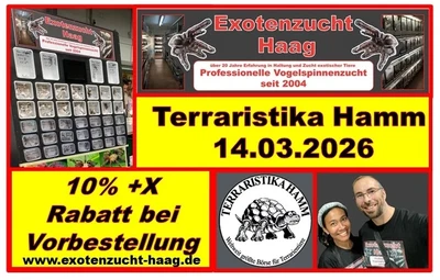 Bild 1/4