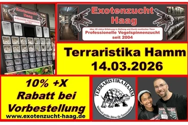 Spiders and Scorpions kaufen und verkaufen Photo: Vorbestellungen / Preorders Terraristika Hamm --> 10% - 43% discount!