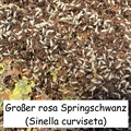 Bild 23/28