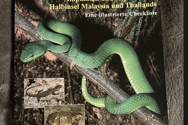 Literatur kaufen und verkaufen Foto: Buch: Amphibien & Reptilien Malaysia & Thailand