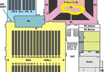Warane kaufen und verkaufen Foto: Varanus panoptes horni juveniles