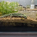 Bild 9/10