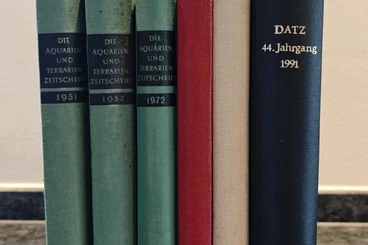 Books & Magazines kaufen und verkaufen Photo: DATZ verschiedene Jahrgänge gebunden