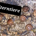 Bild 2/5