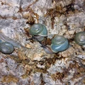 Bild 3/5