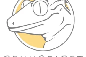 Geckos kaufen und verkaufen Foto: Geckos and Lizards list for Hamm 14/3-2026