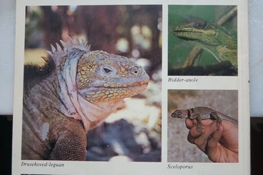 Literatur kaufen und verkaufen Foto: Magazine