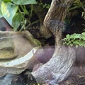 Bild 2/2